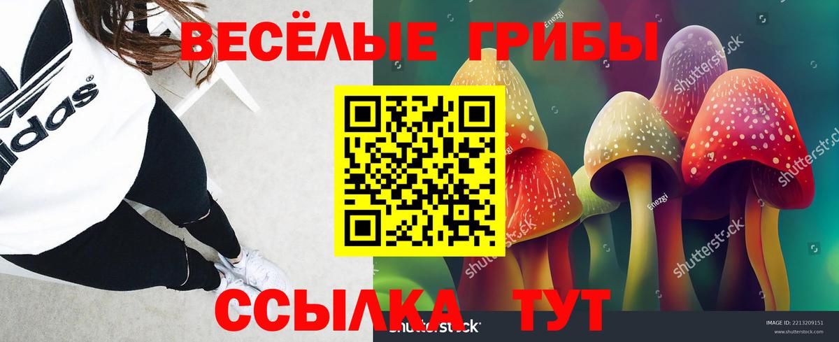 Галлюциногенные грибы ЛСД Усть-Илимск